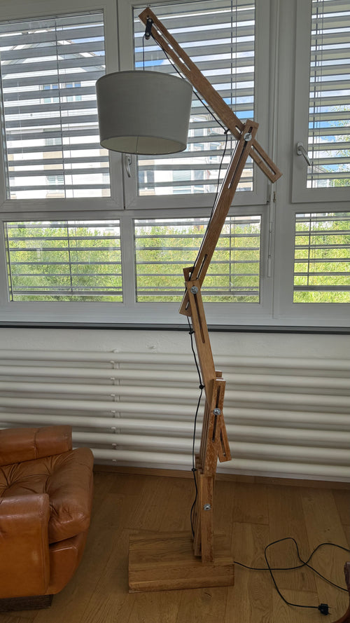 Daniel Pigeon Articulated Floor Lamp
